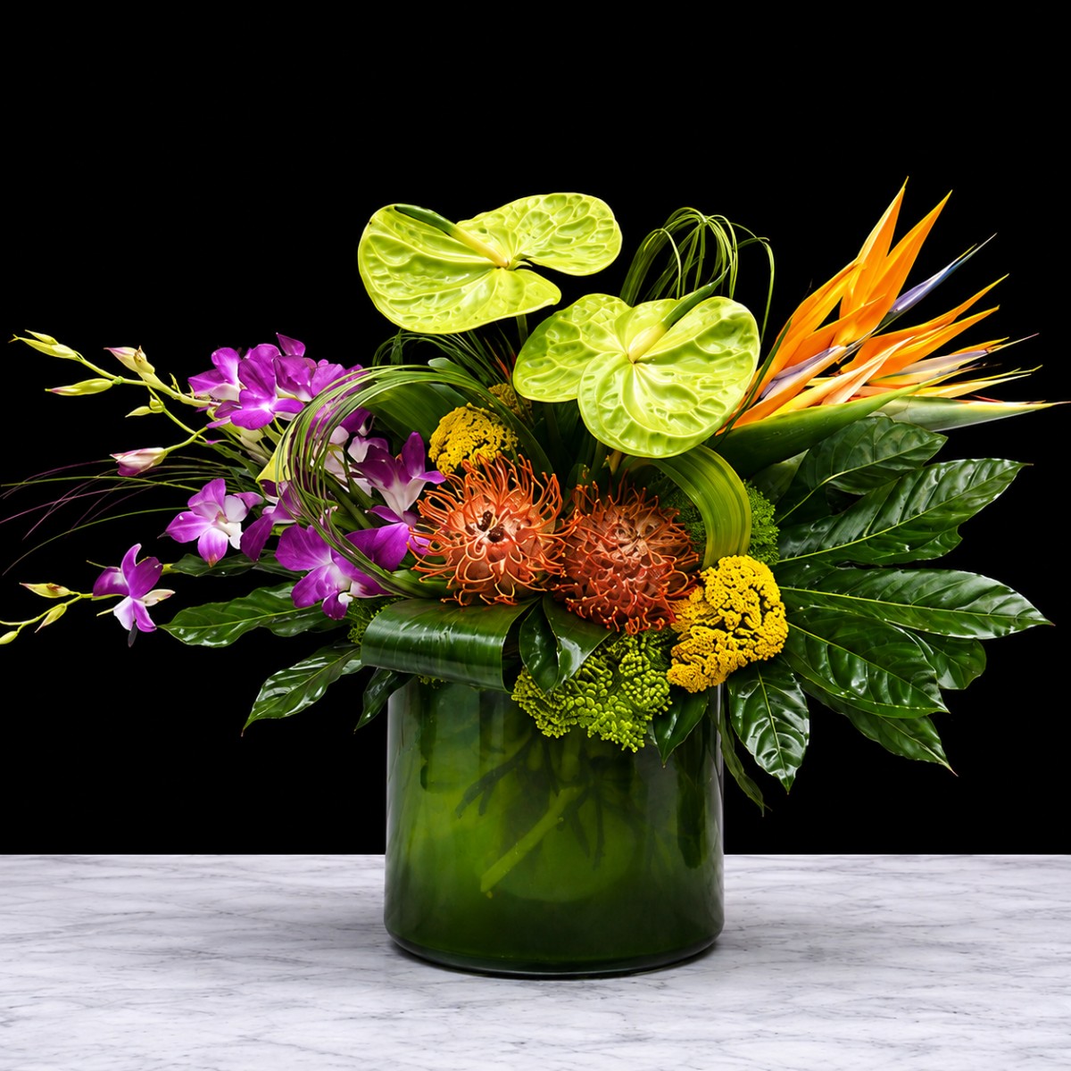 Tropicals & Exotics
