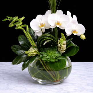 Flowers By Price