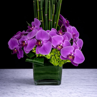 Orchids