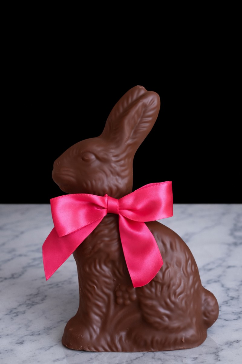 Chocolate Bunny 10oz - Image 2