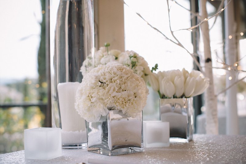 Elegant Winter Quinceañera