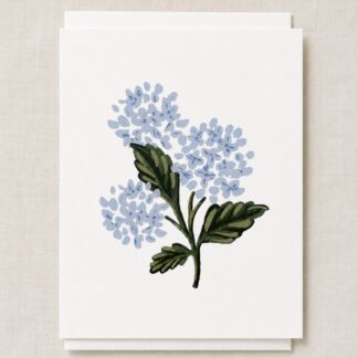 Hydrangea Stem Card